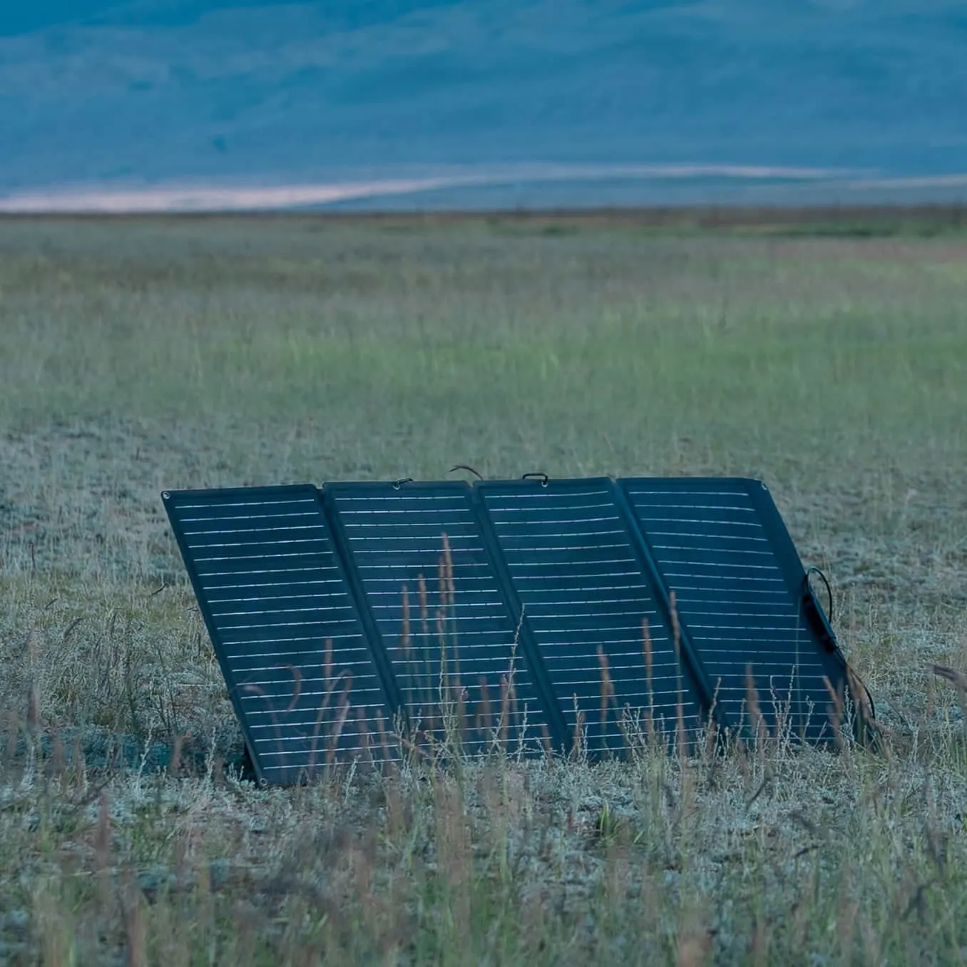 EcoFlow 160W Portable Solar Panel