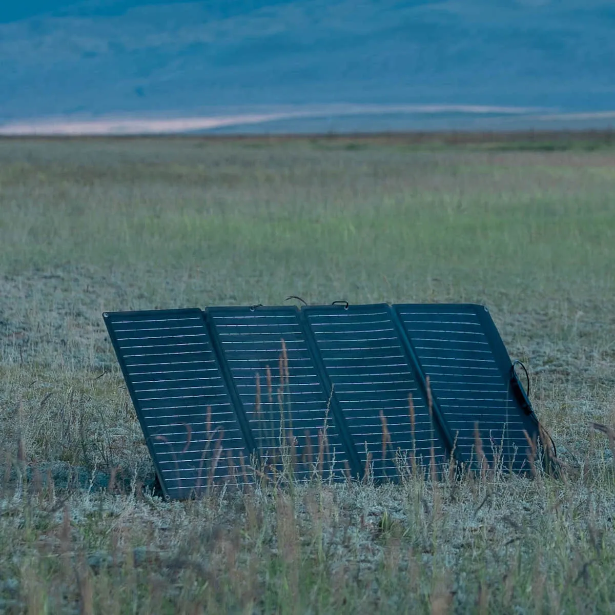 EcoFlow 160W Solar Panel