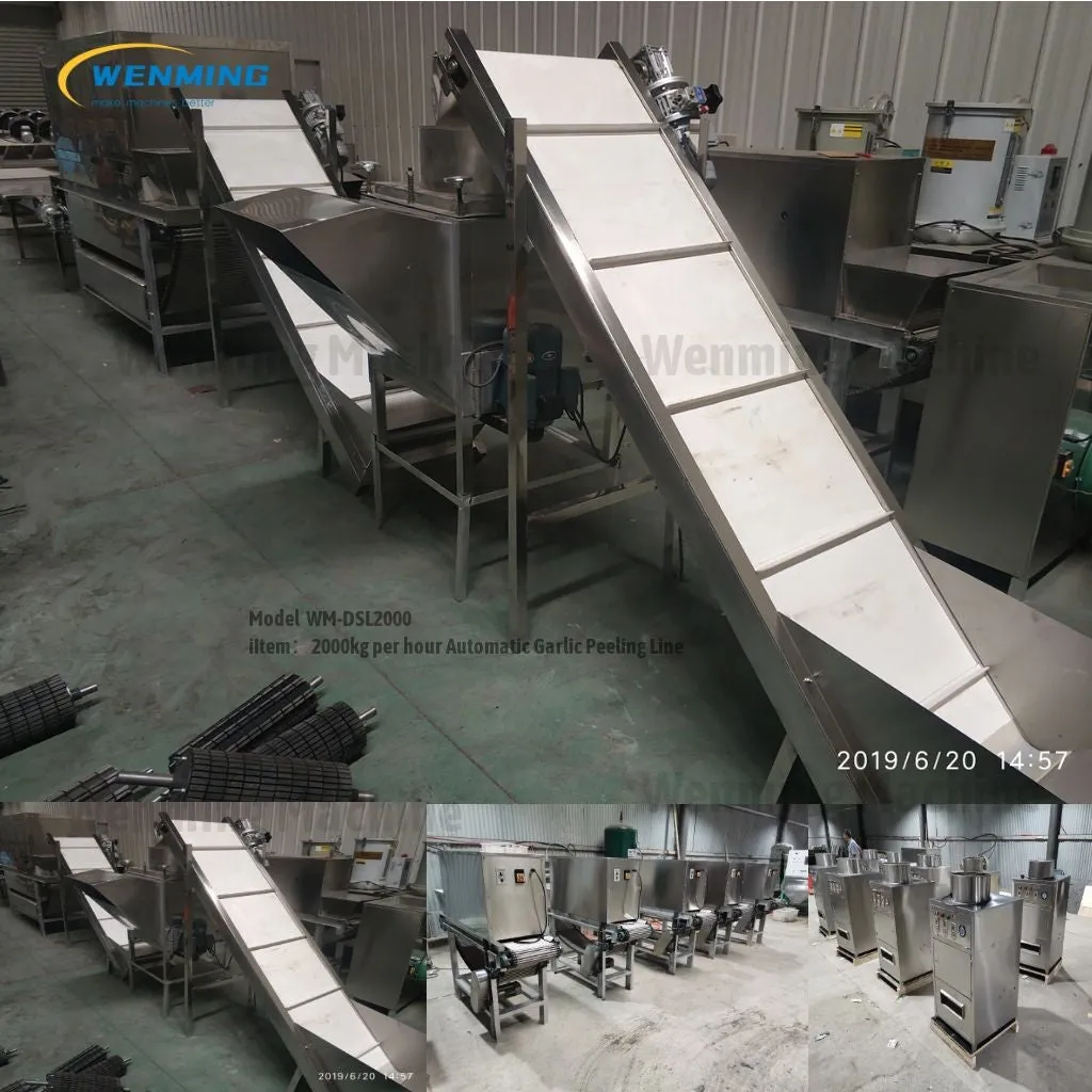 Full Automatic Processing Garlic Peeling Line