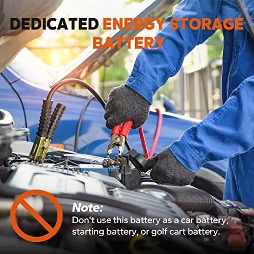 LiTime 12V 100Ah LiFePO4 Battery Built-in 100A BMS, Up to 15000 Cycles, Perfect for RV, Marine, Home Energy Storage