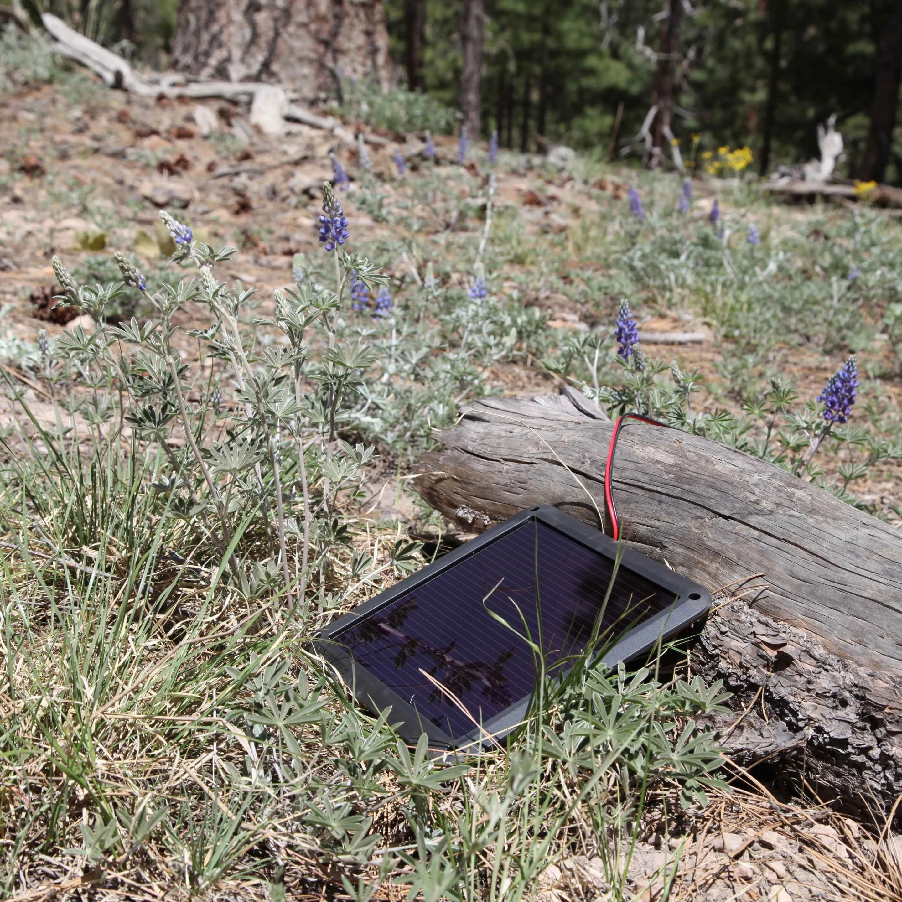 NOCO 2.5W Solar Battery Charger and Maintainer