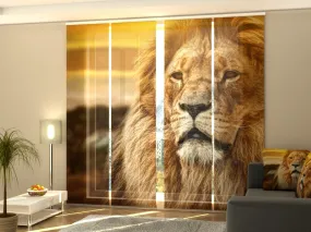 Set of 4 Panel Curtains Lion in Savanna