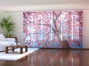 Set of 6 Panel Curtains Sakura Blooming from Bottom Up